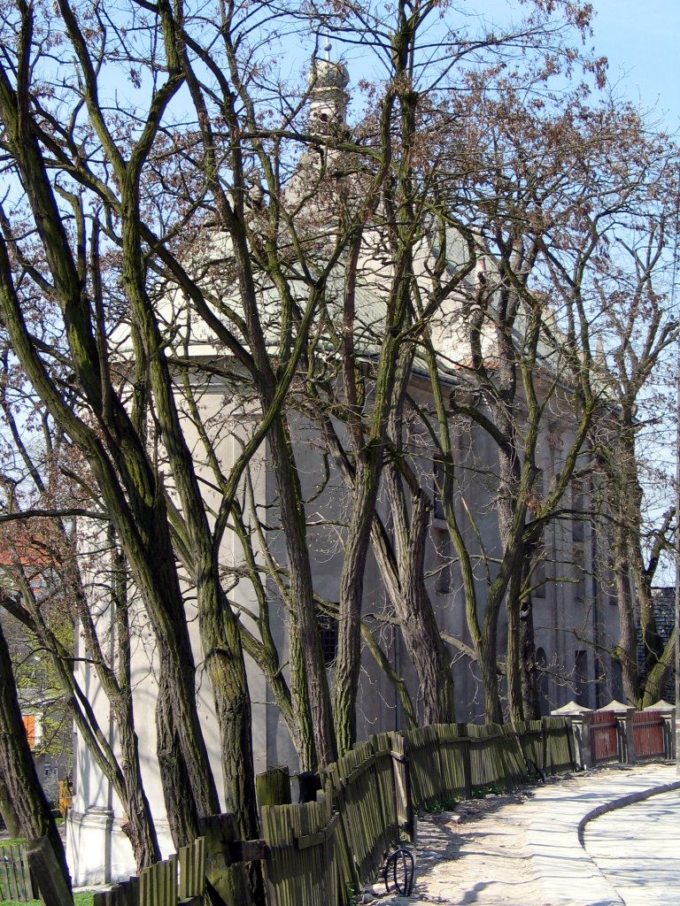 Zdjęcie „Zdjęcie poglądowe z Wikimedia Commons – automatyczne dopasowanie” w przewodniku OdpocznijTu po okolicy Kazimierza Dolnego